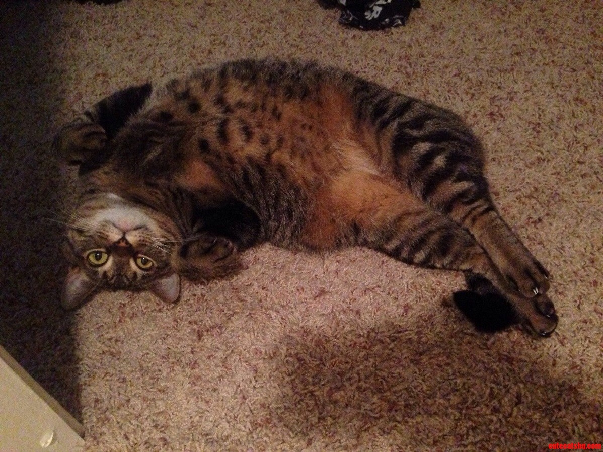 Draw Me Like One of Your French Girls
