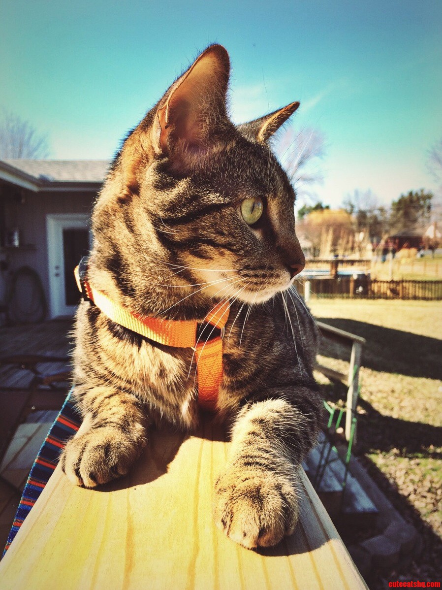 Enjoying the Outdoors for the First Time.