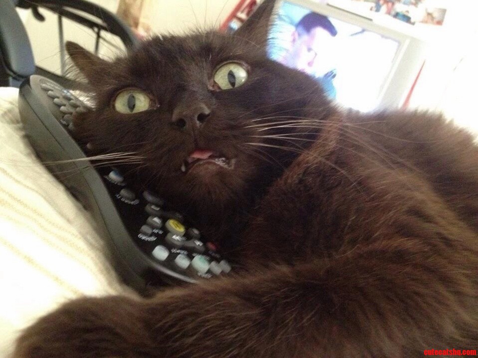 Even on the Worst of Days This Picture of Luna Always Makes Me Laugh.