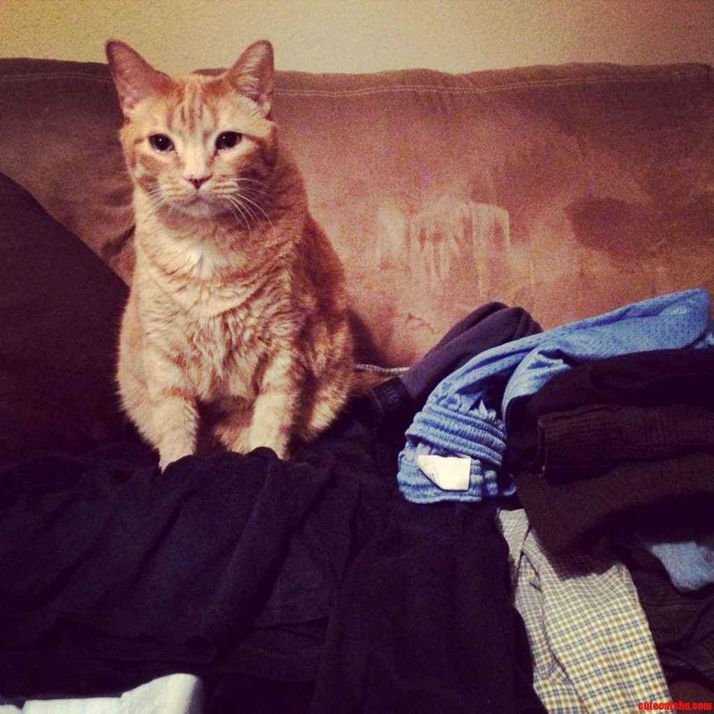 Every Damn Time I Do Laundry.