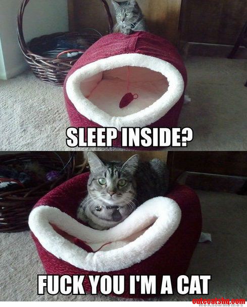 Every...single...time...