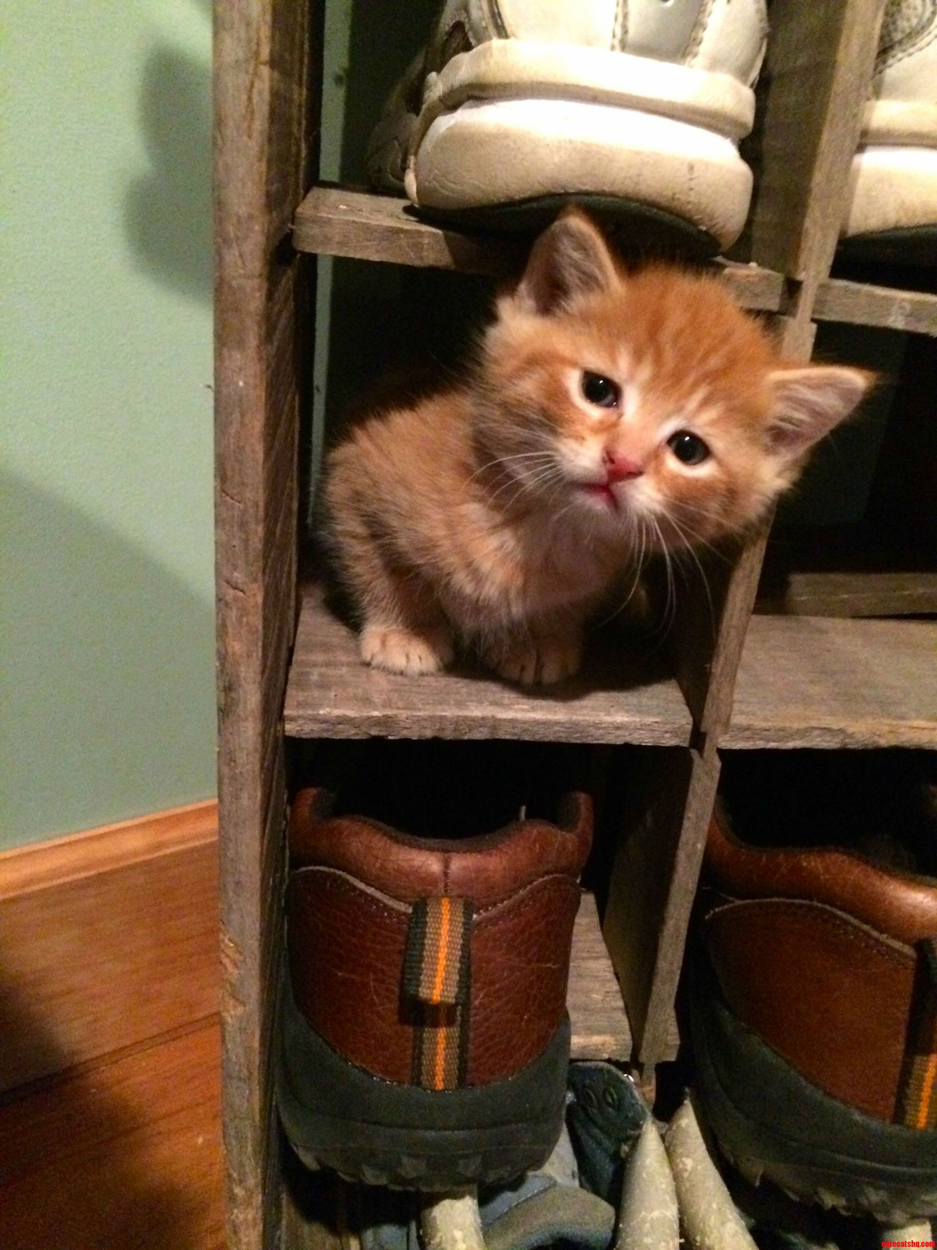 Exploring a New Cubby Hole