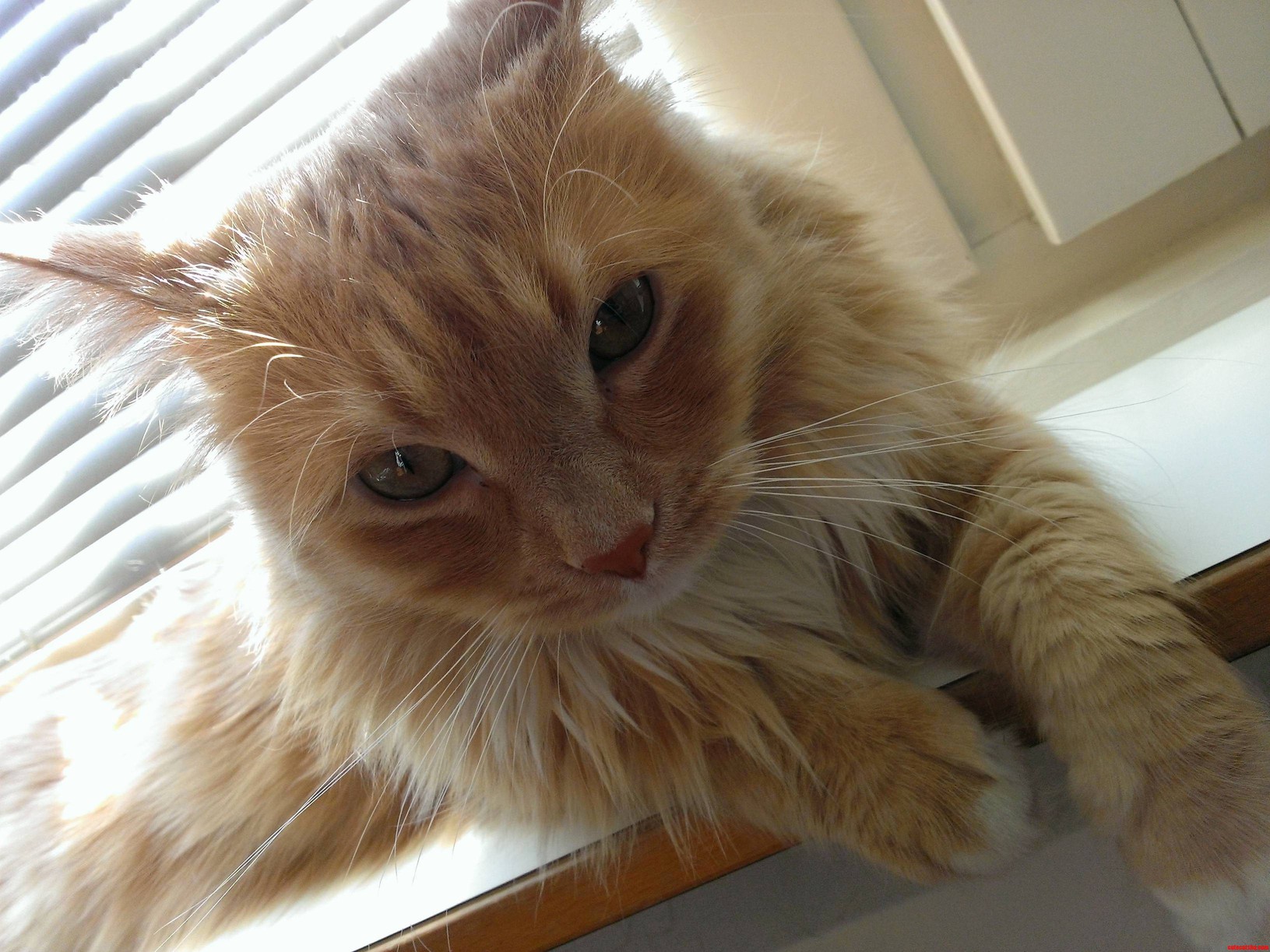 Eyes of Seduction