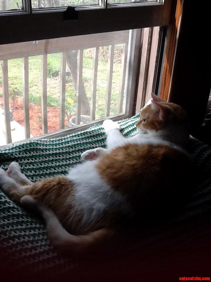 Fat Max Enjoying the Fresh Air.