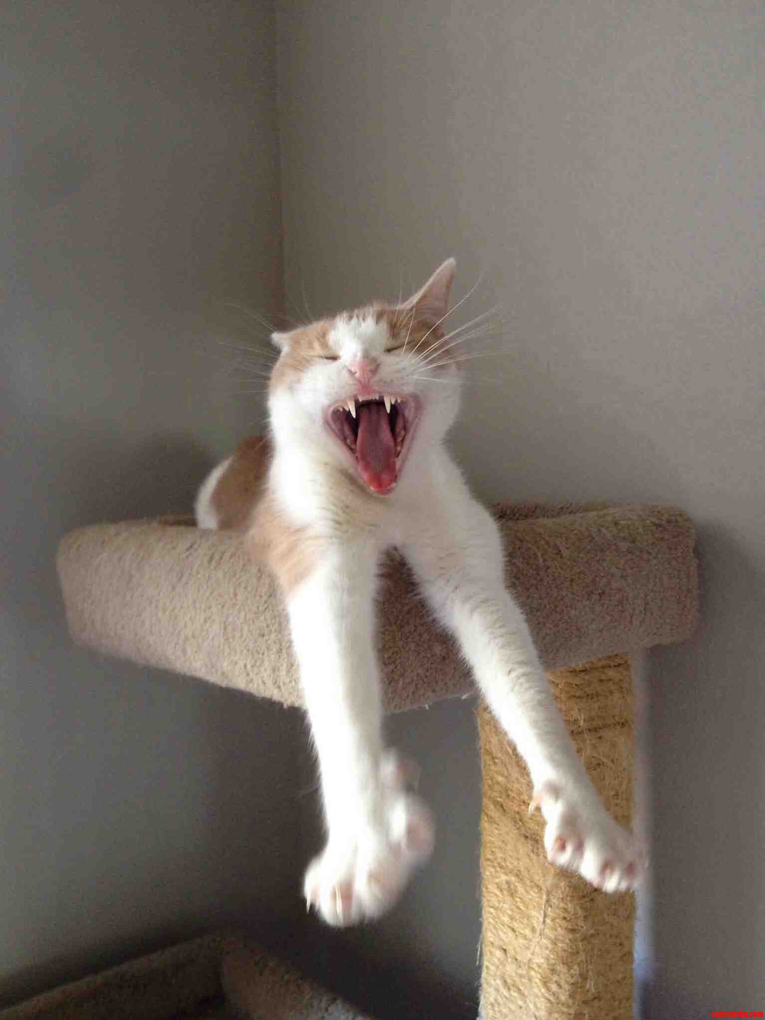 Fear Me.