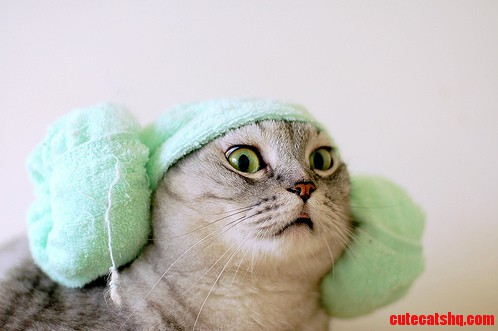 Feeling Like Princess Leia