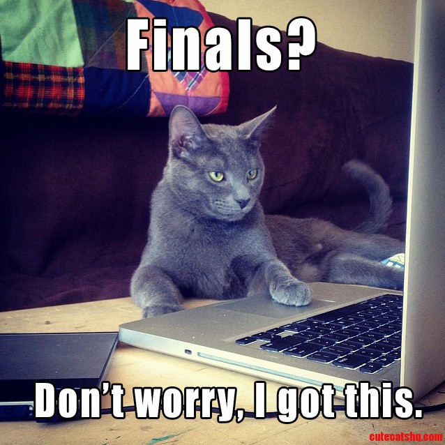 Finals