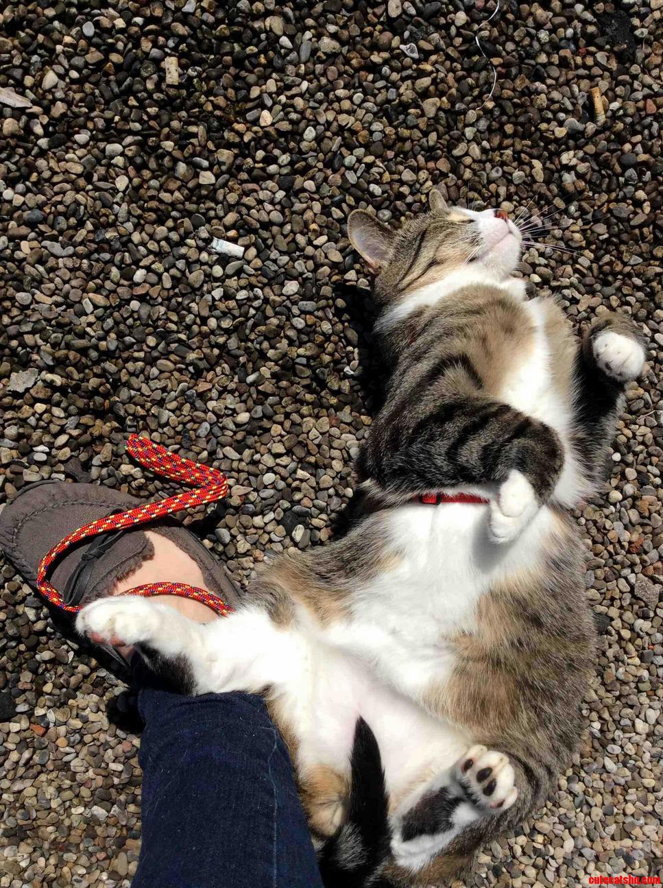First Walk This Spring. I Think He Missed It.