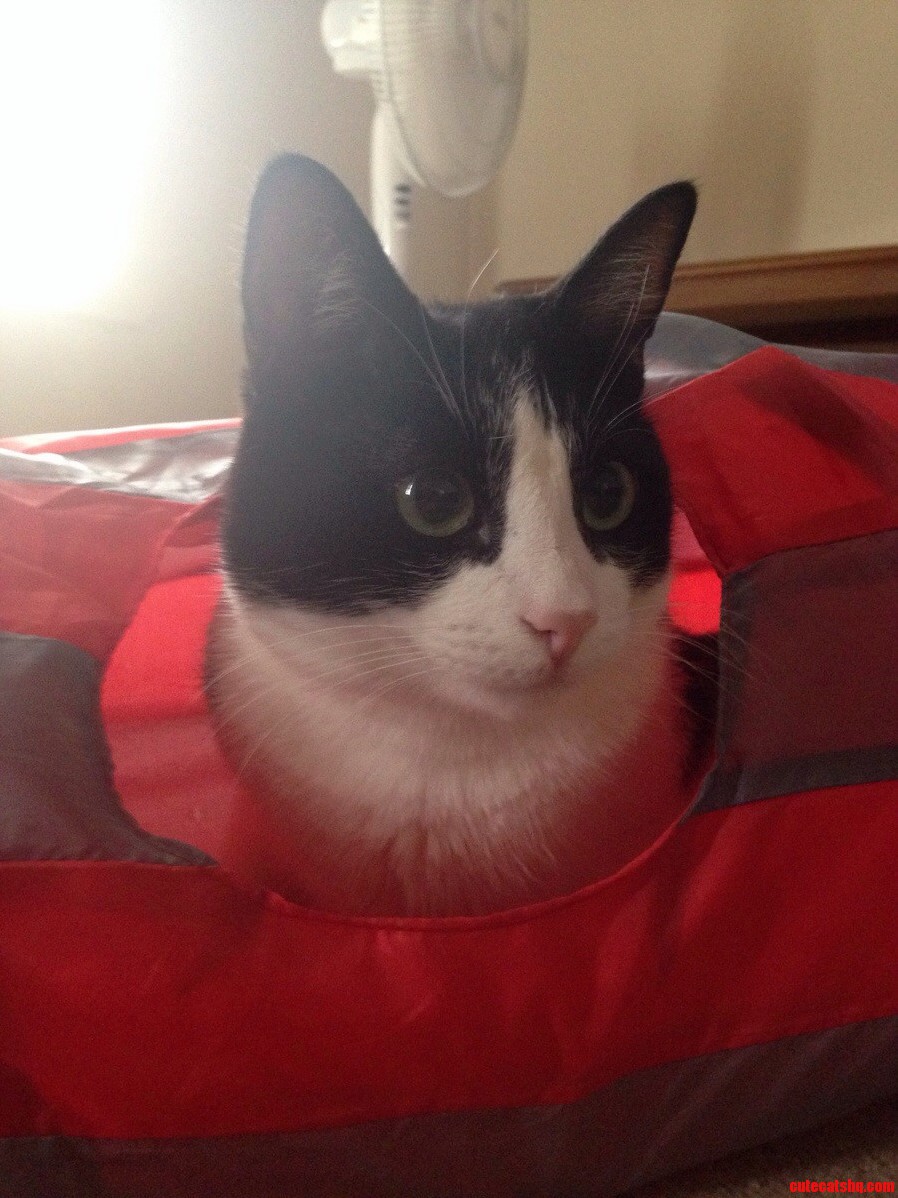 Frank Posing in His Tunnel