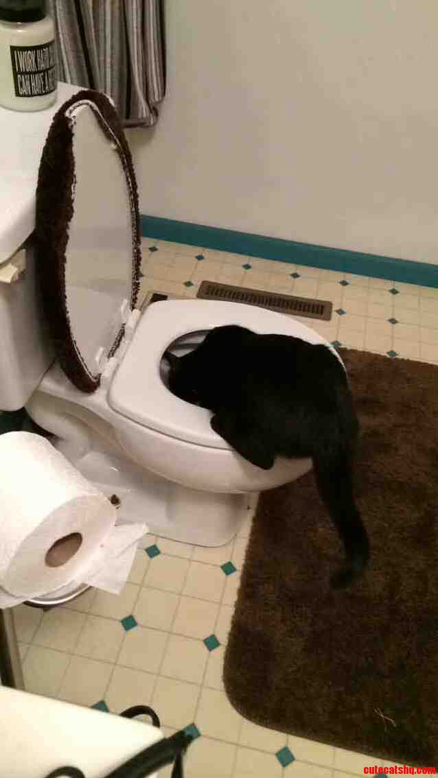Friendly Reminder to Always Flush