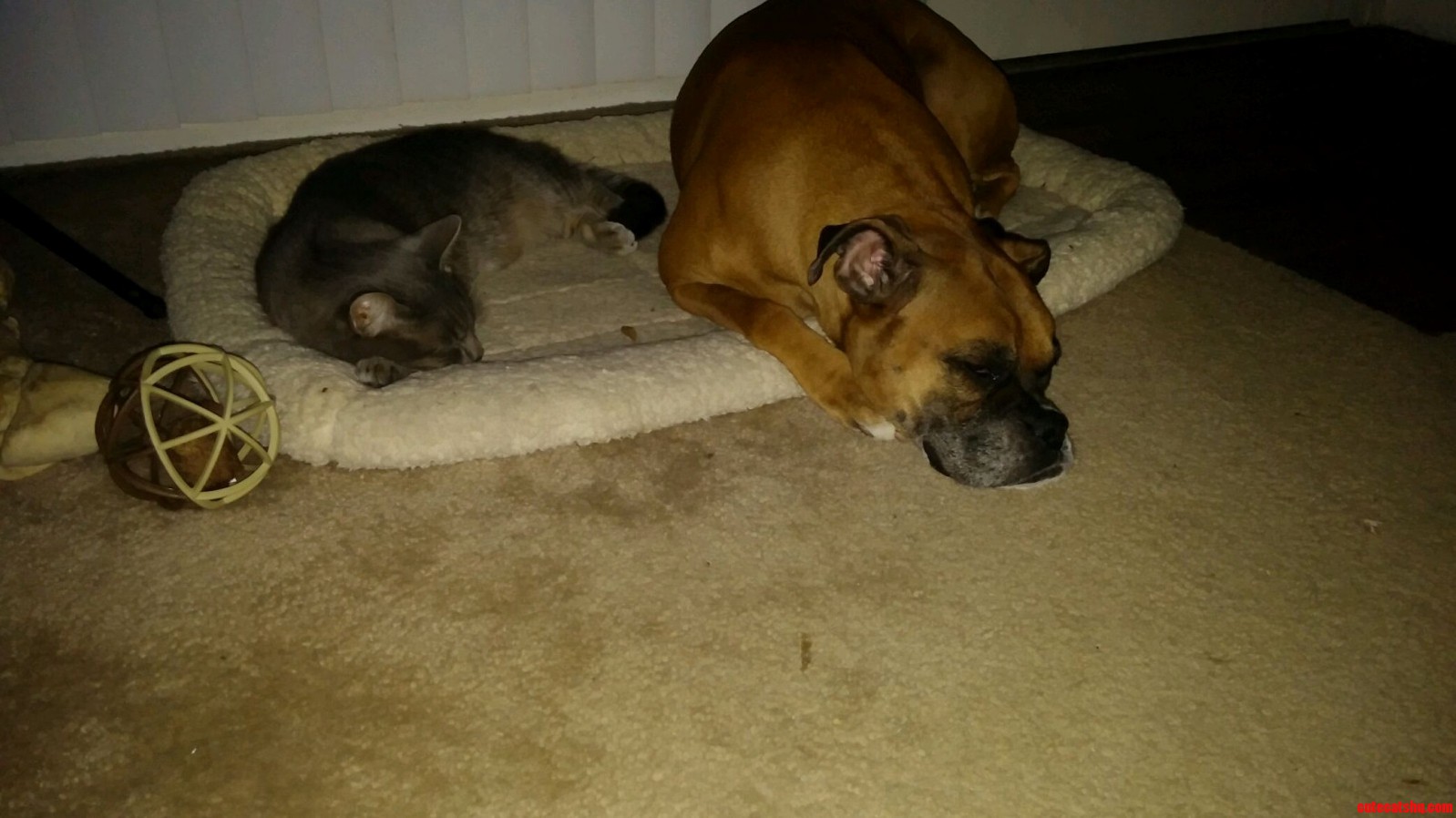Friends at Last