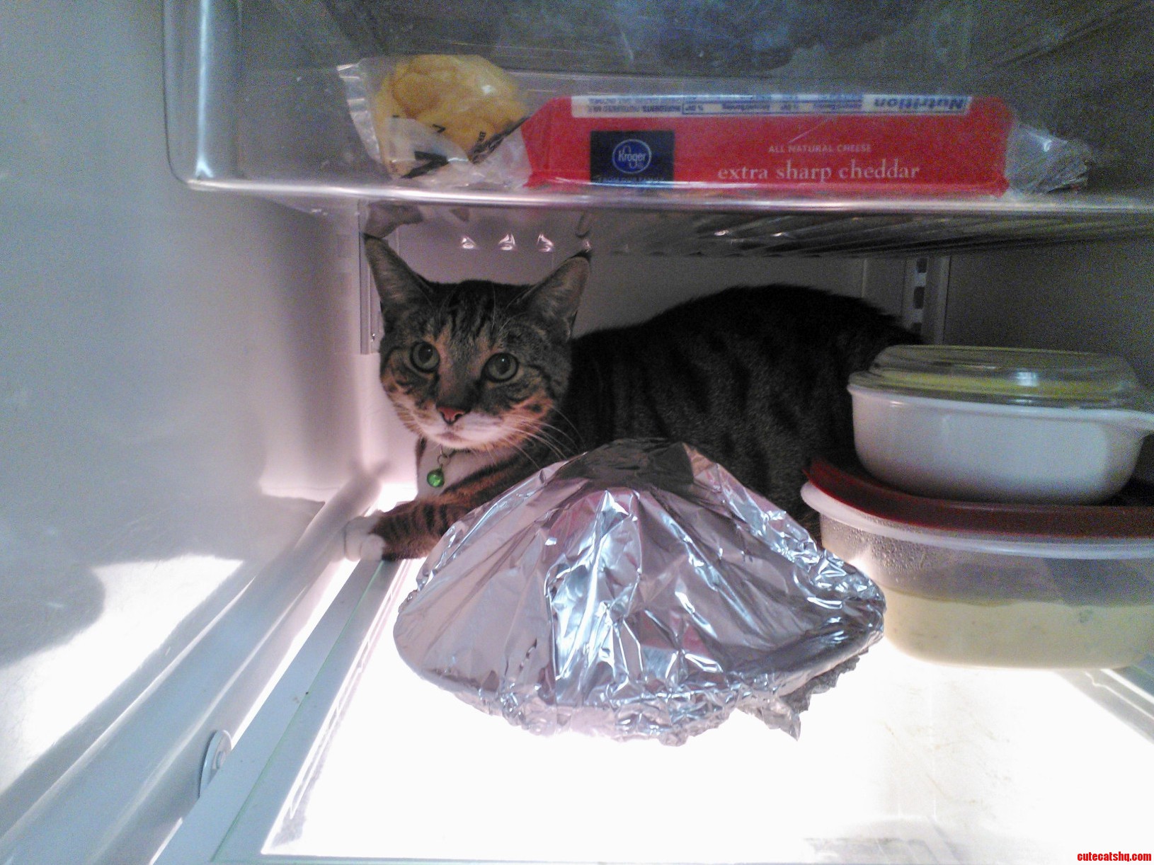 Get Out of There Amigo You Are Not Leftovers