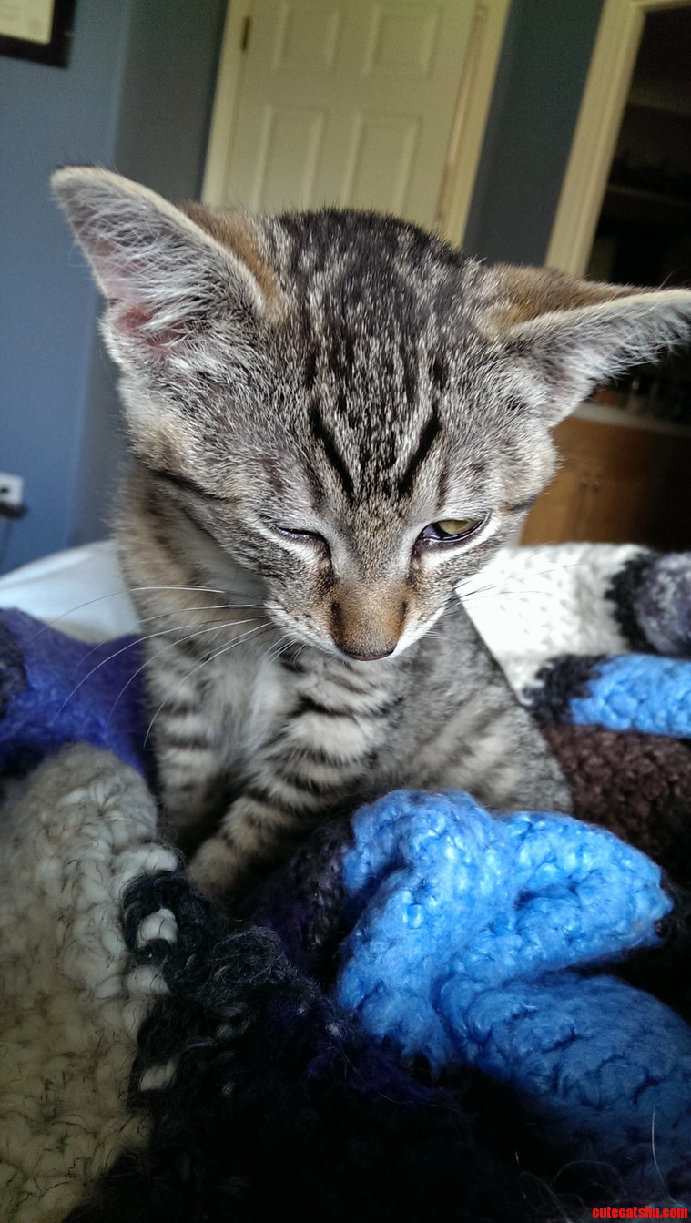 Gizmo Sad.