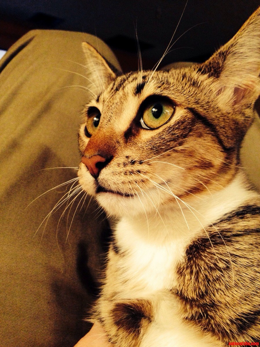 Glamour Shot.