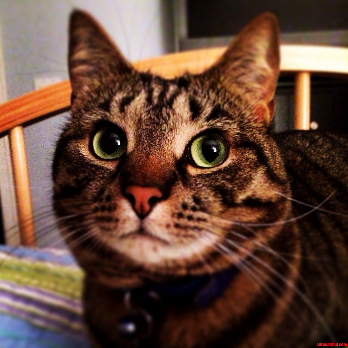 Green Eyed Girl.