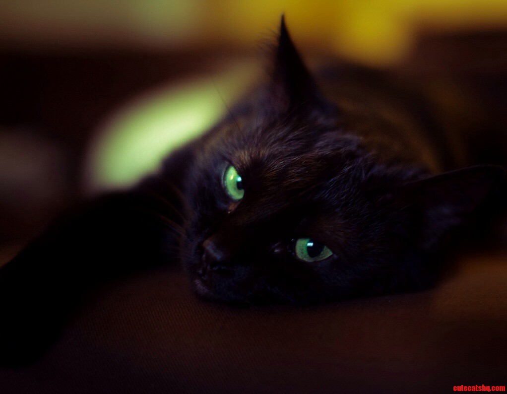 Green Eyes.