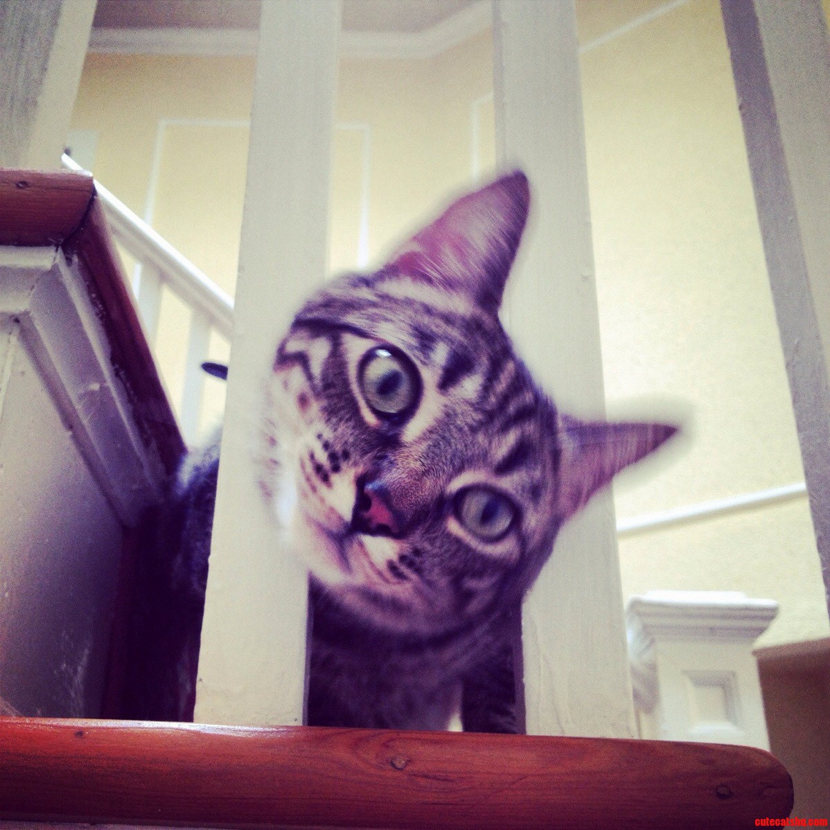 Greetings Neighbor. I Seem to Be Stuck.