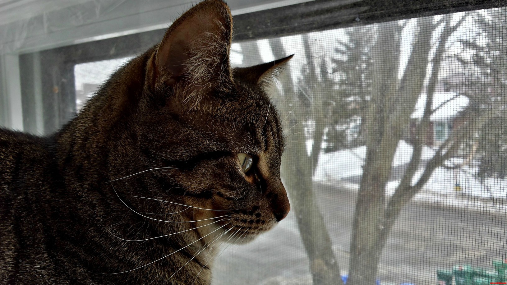 Guard Duty.