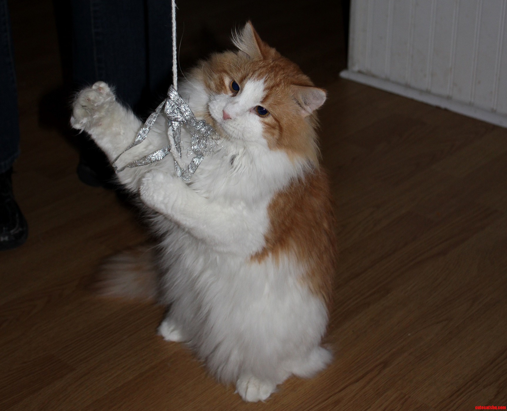 Han Solo Still Loves Homemade Toys