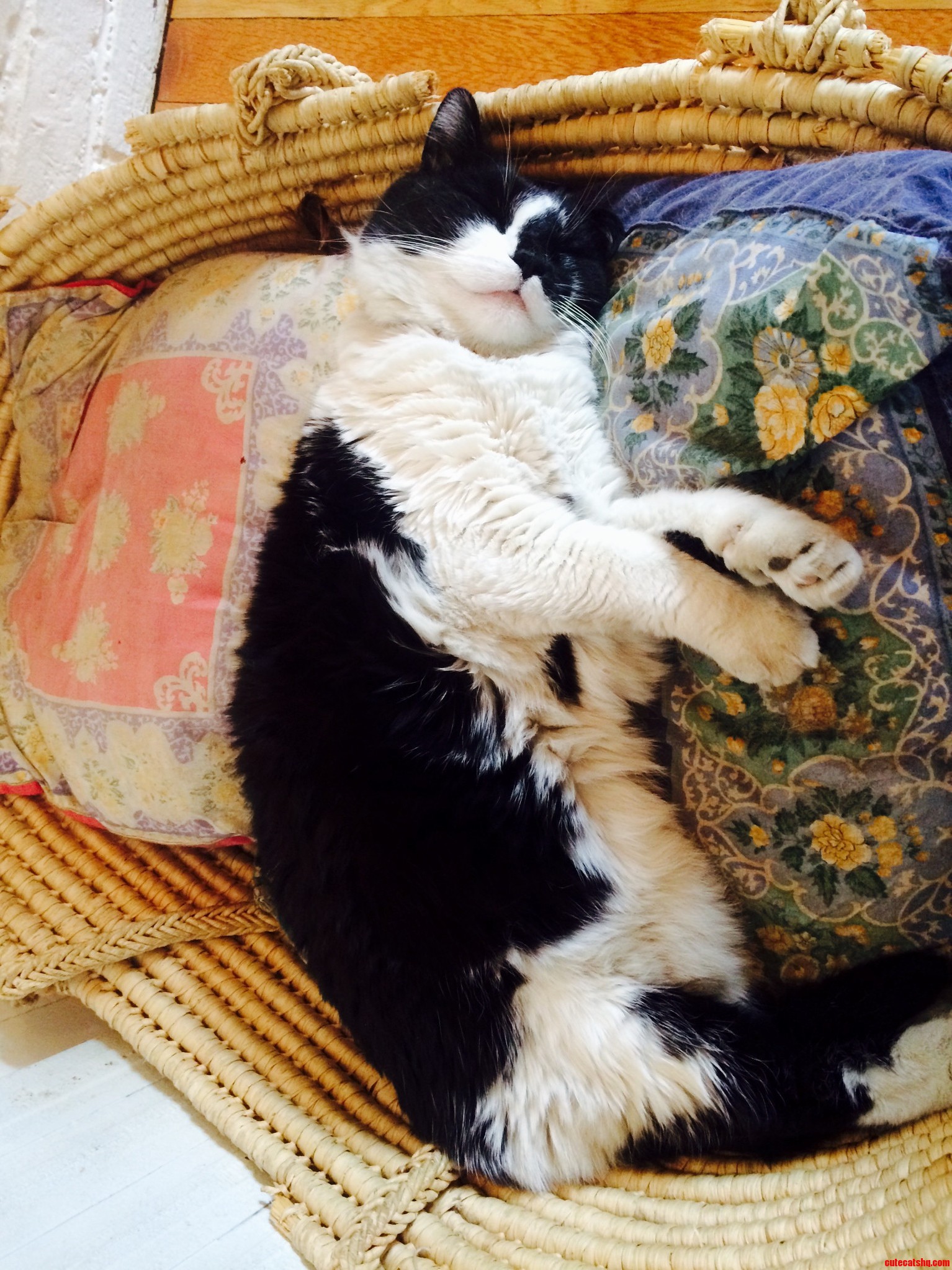 Happy Dreams