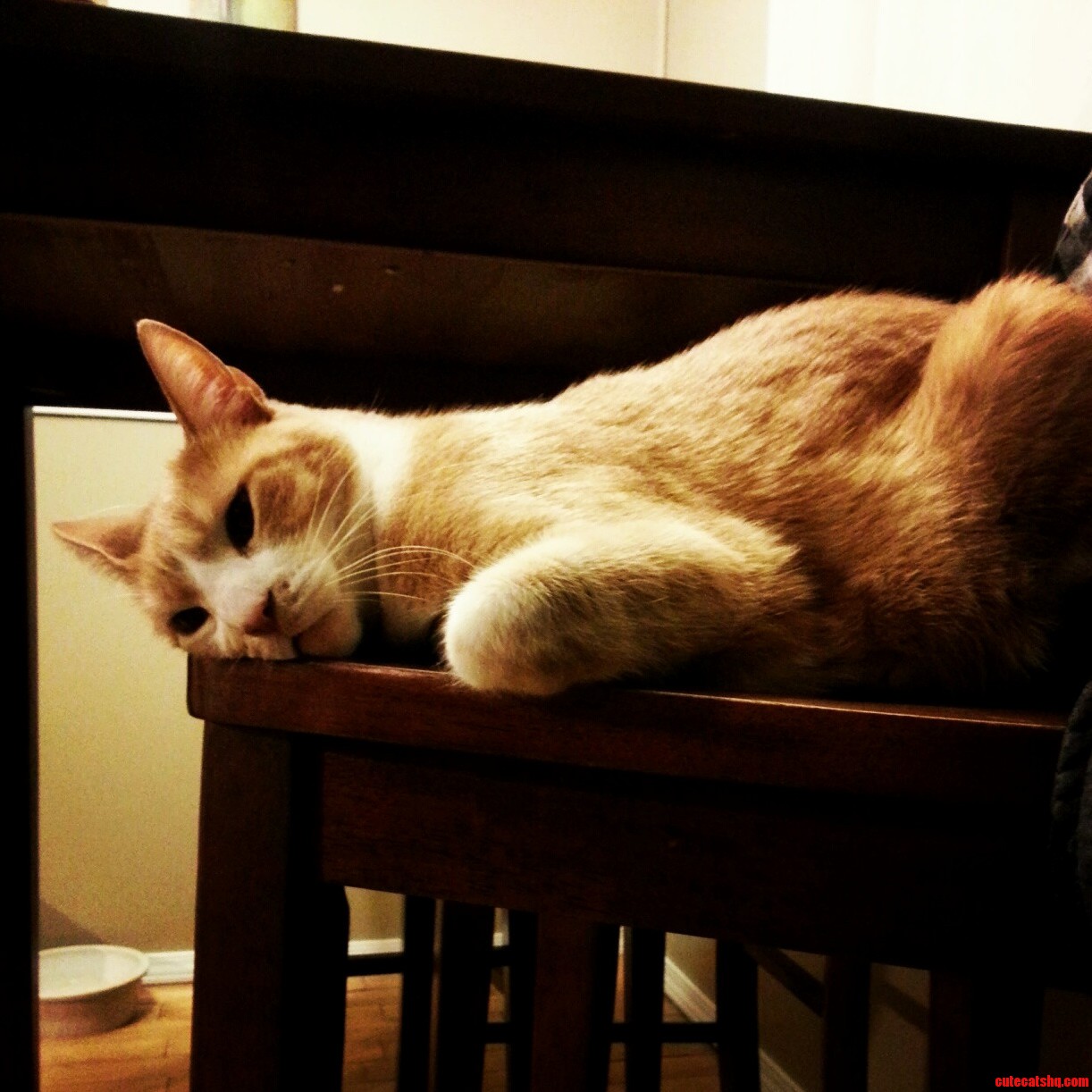 Hard Knock Life