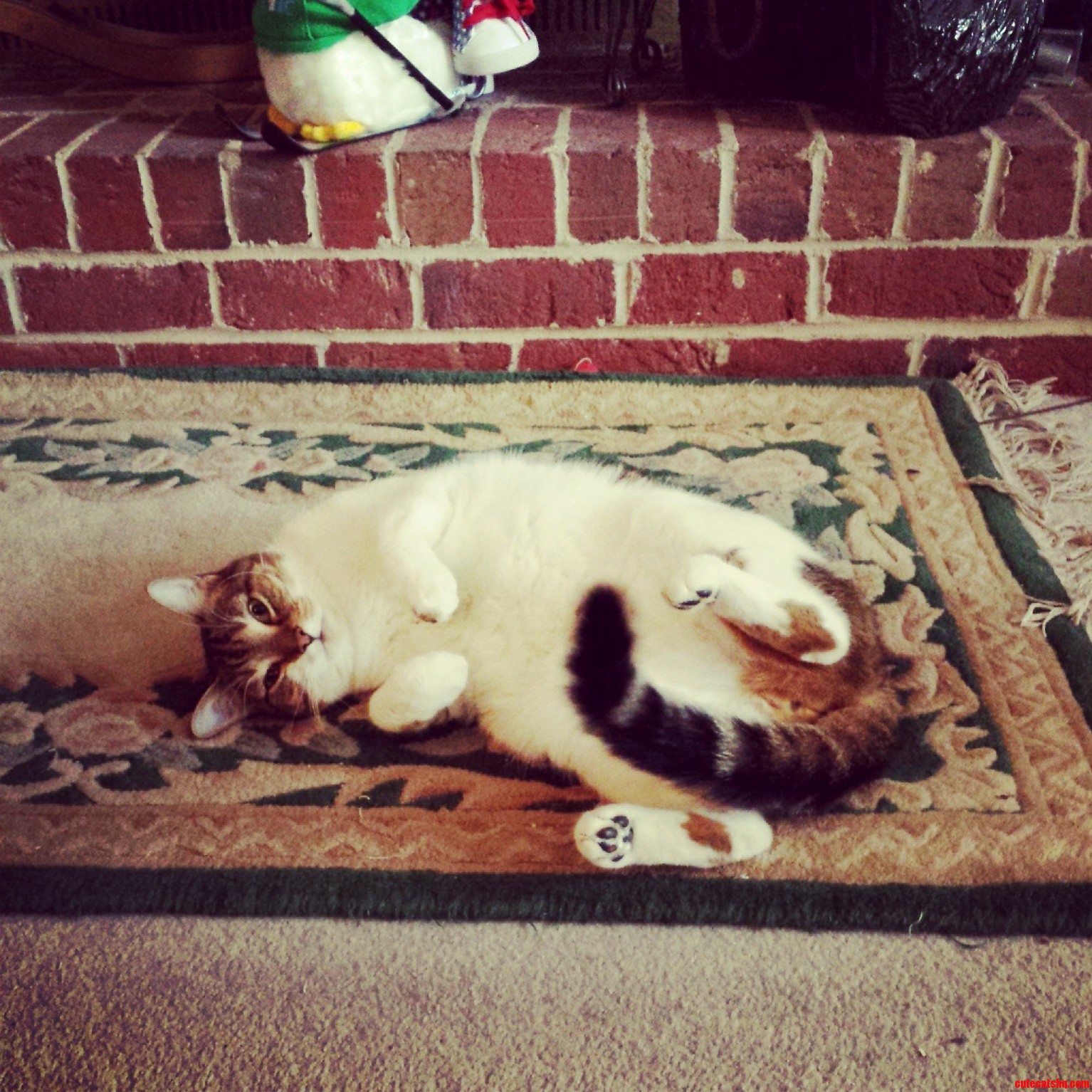 He Generally Bathes Like This.