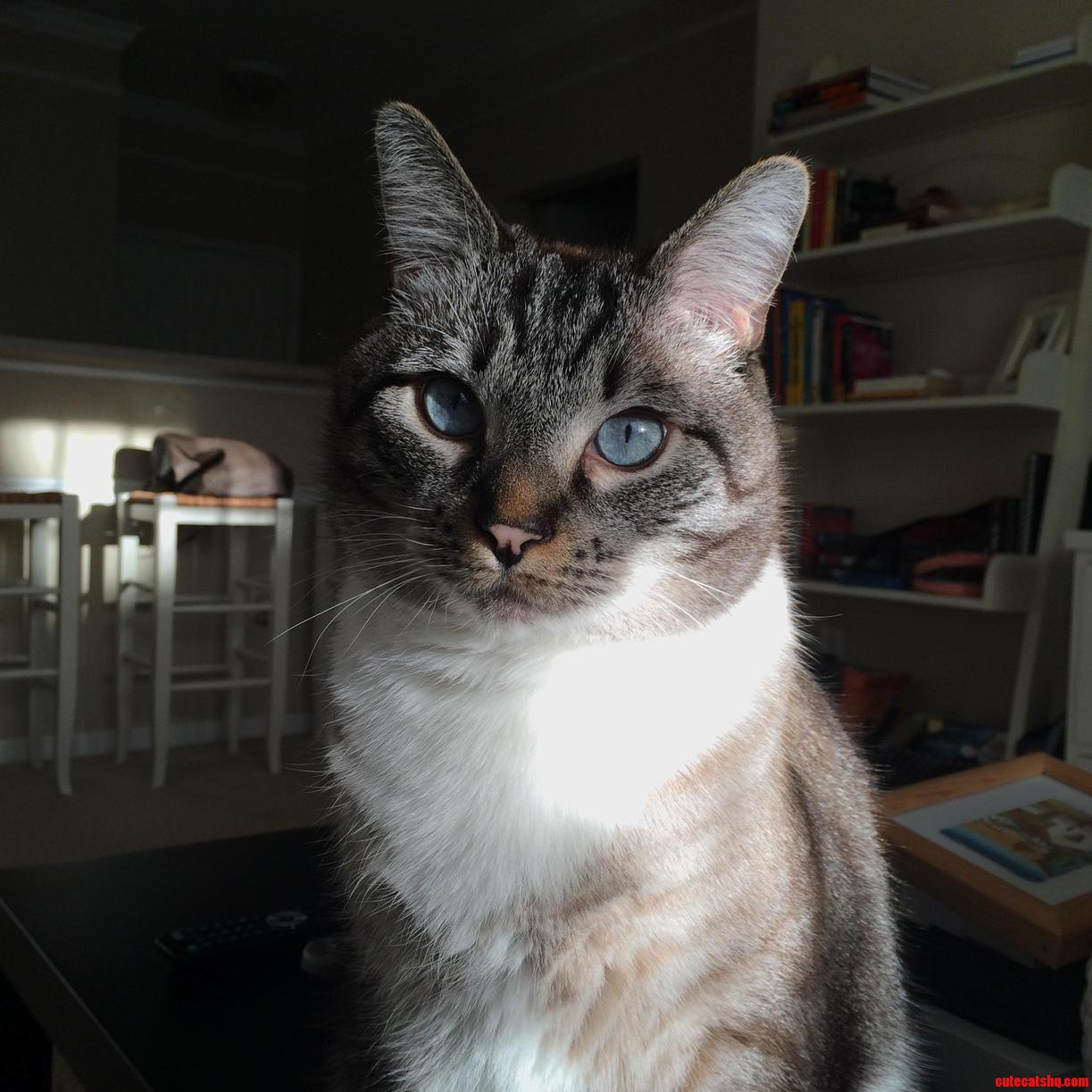 He Gives Me Very Meaningful Looks When He Wants Second Breakfast.