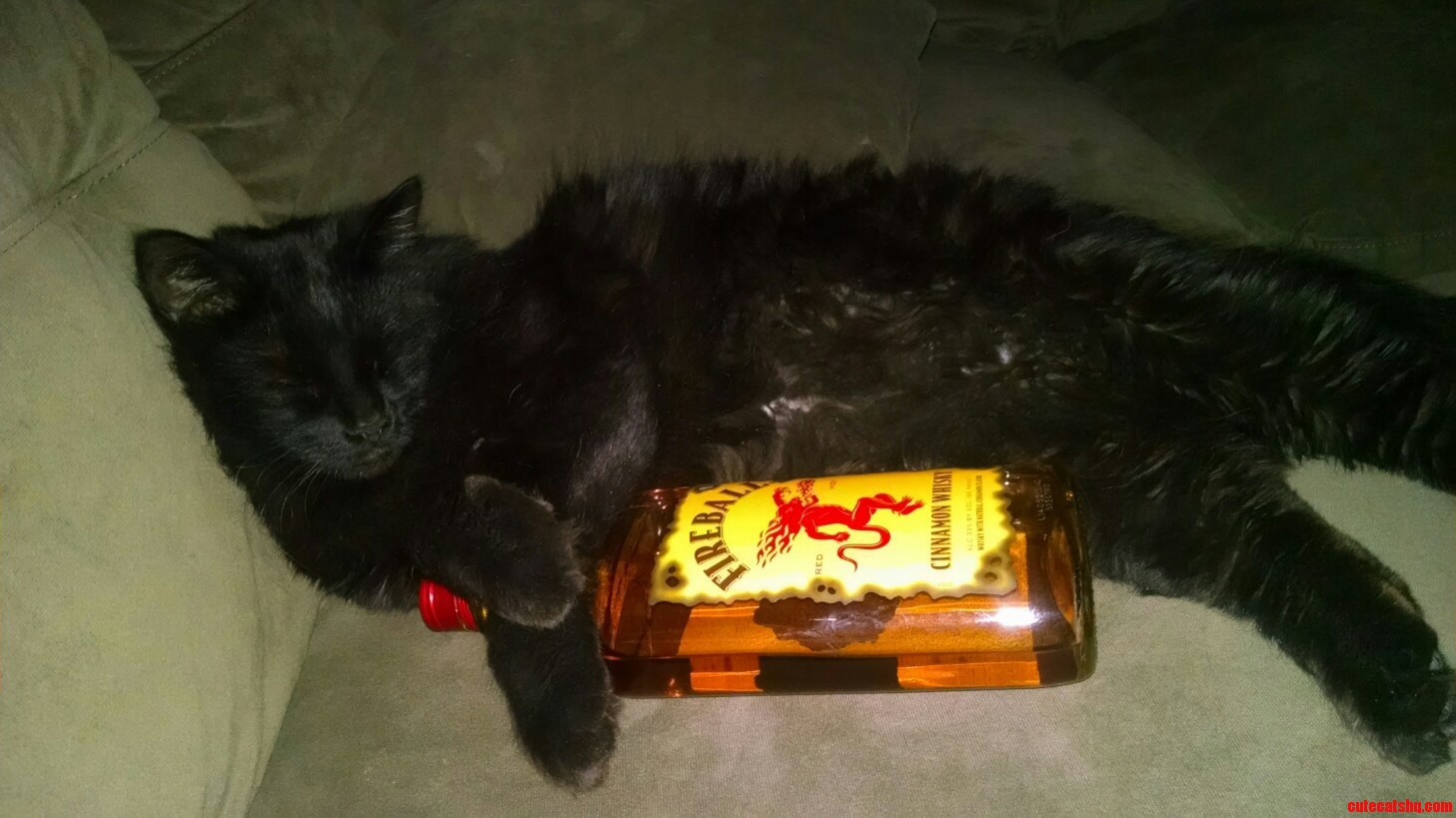 He Had a Little Too Much