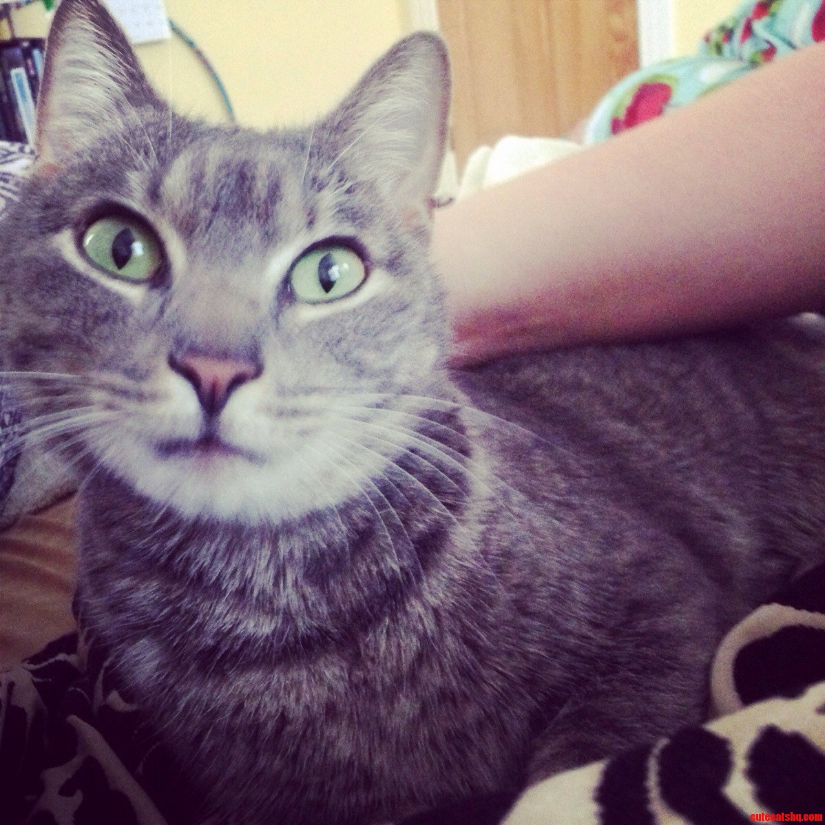 He Knows He Looks Good.