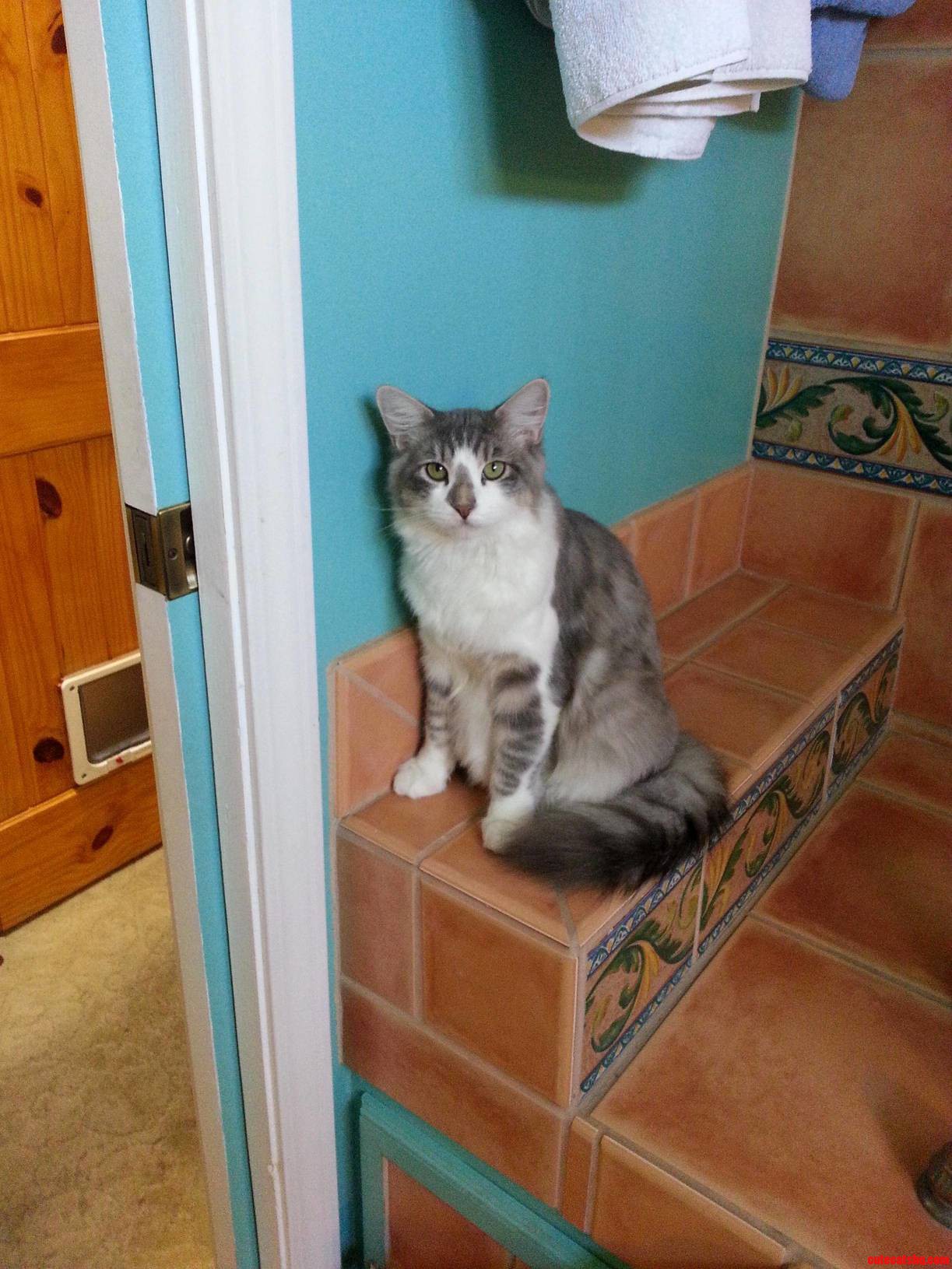 He Likes to Watch Me Get Ready in the Morning.