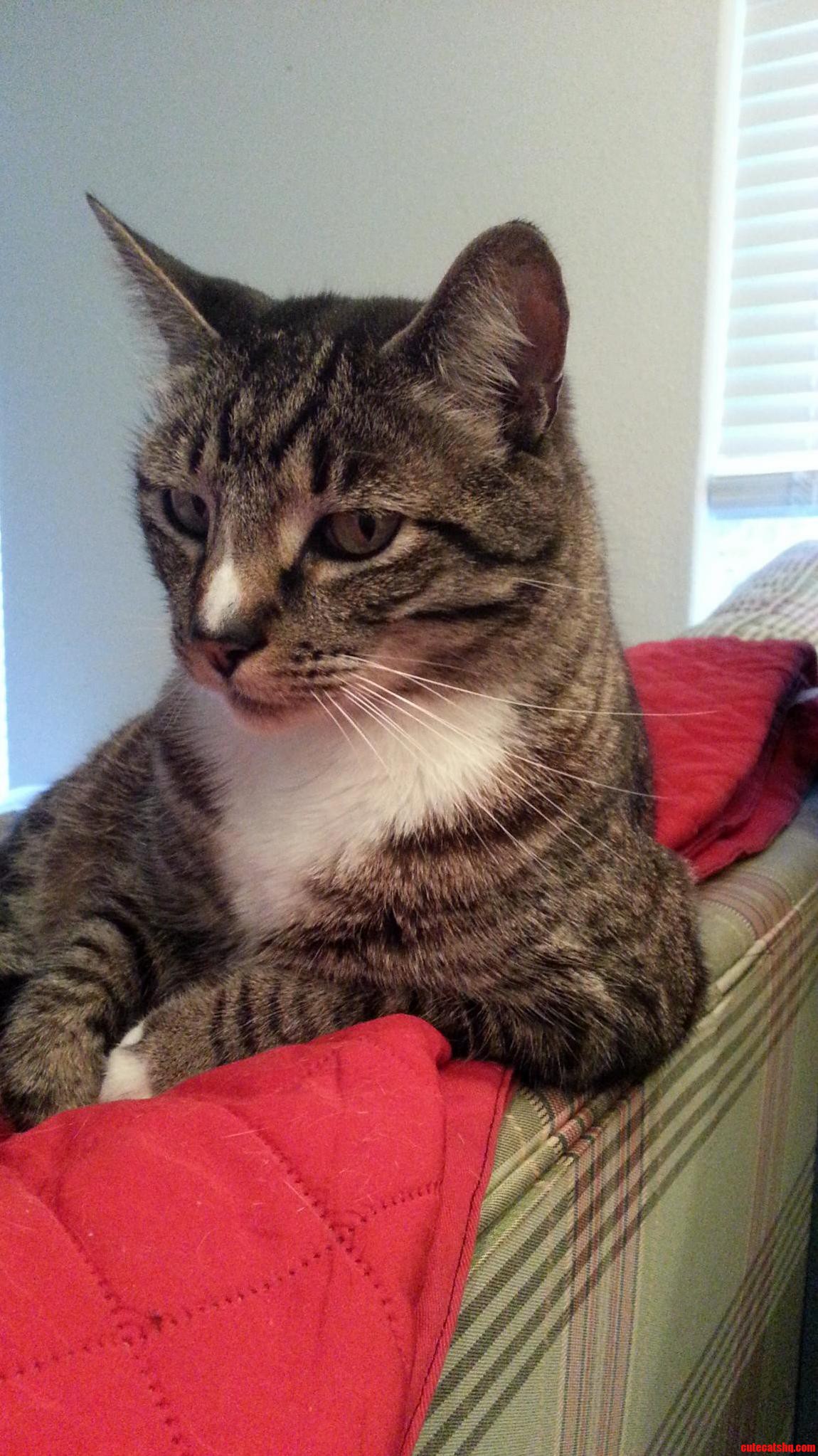 He Likes to Watch Me Play Video Games.. I Think.