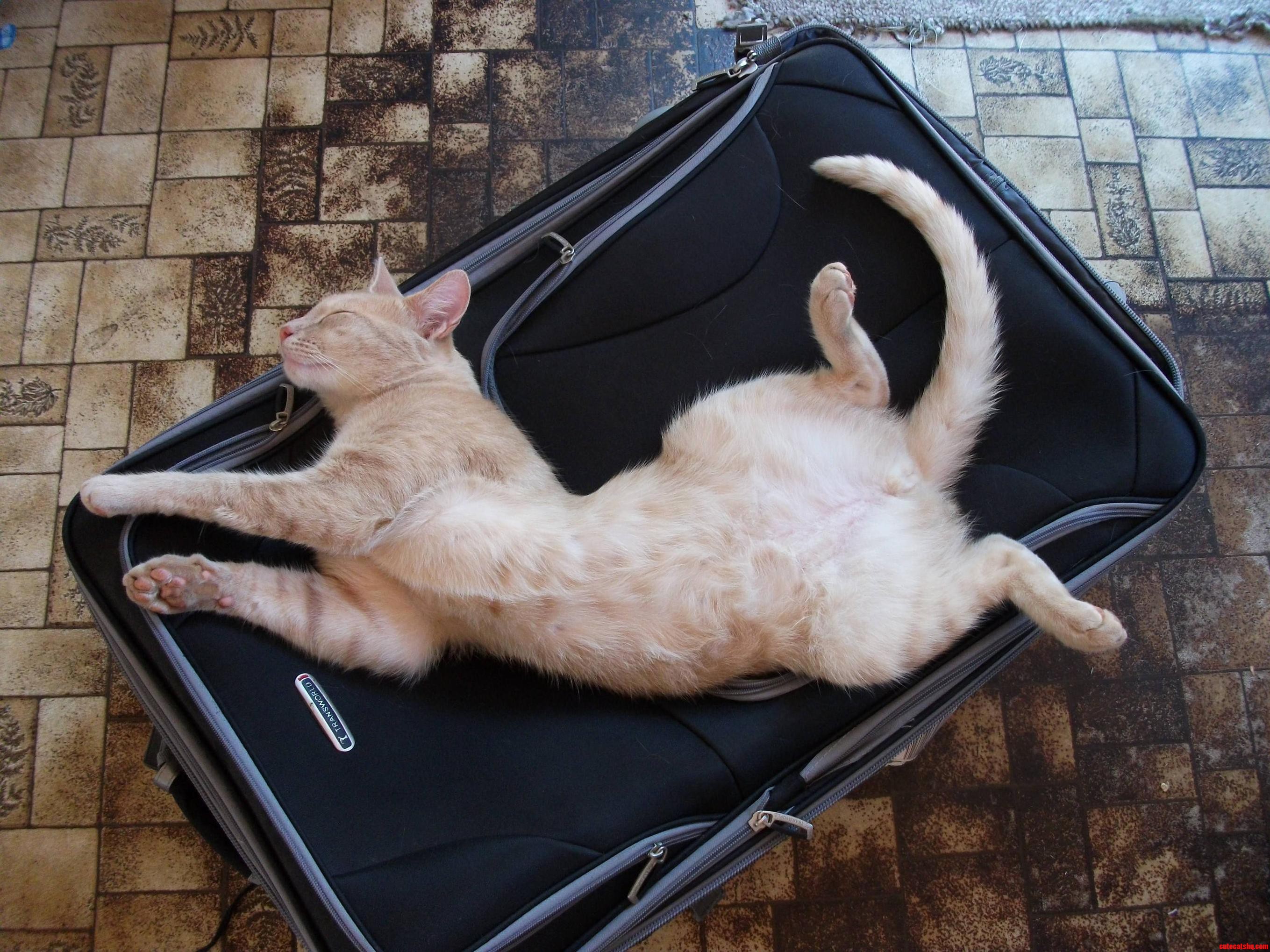 He Makes It So Hard to Leave for College...
