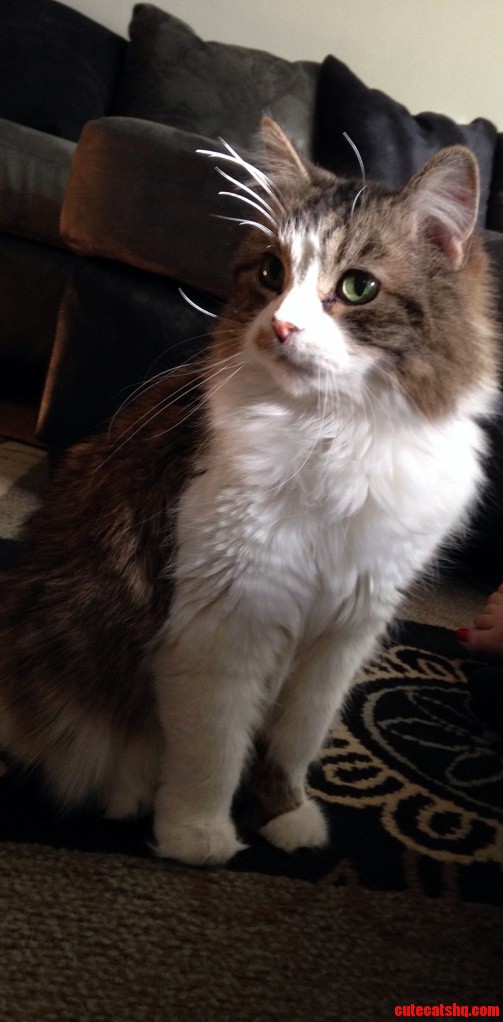 He Only Looks So Innocent Though...
