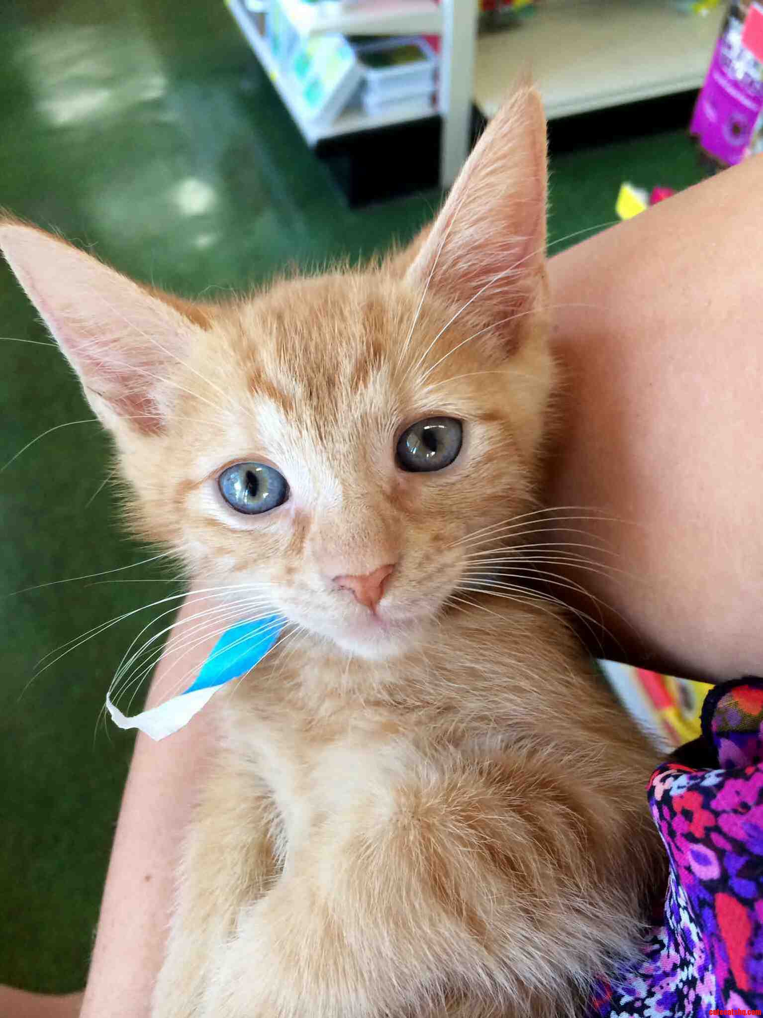 He Stopped Crying to Pose for the Camera.