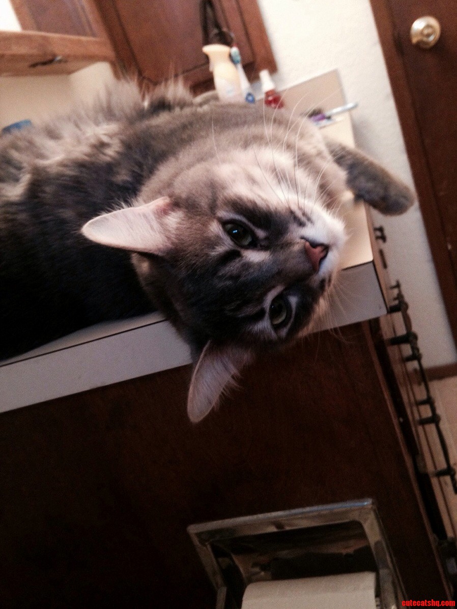 Heeeeeeey I See Youre on the Toilet.