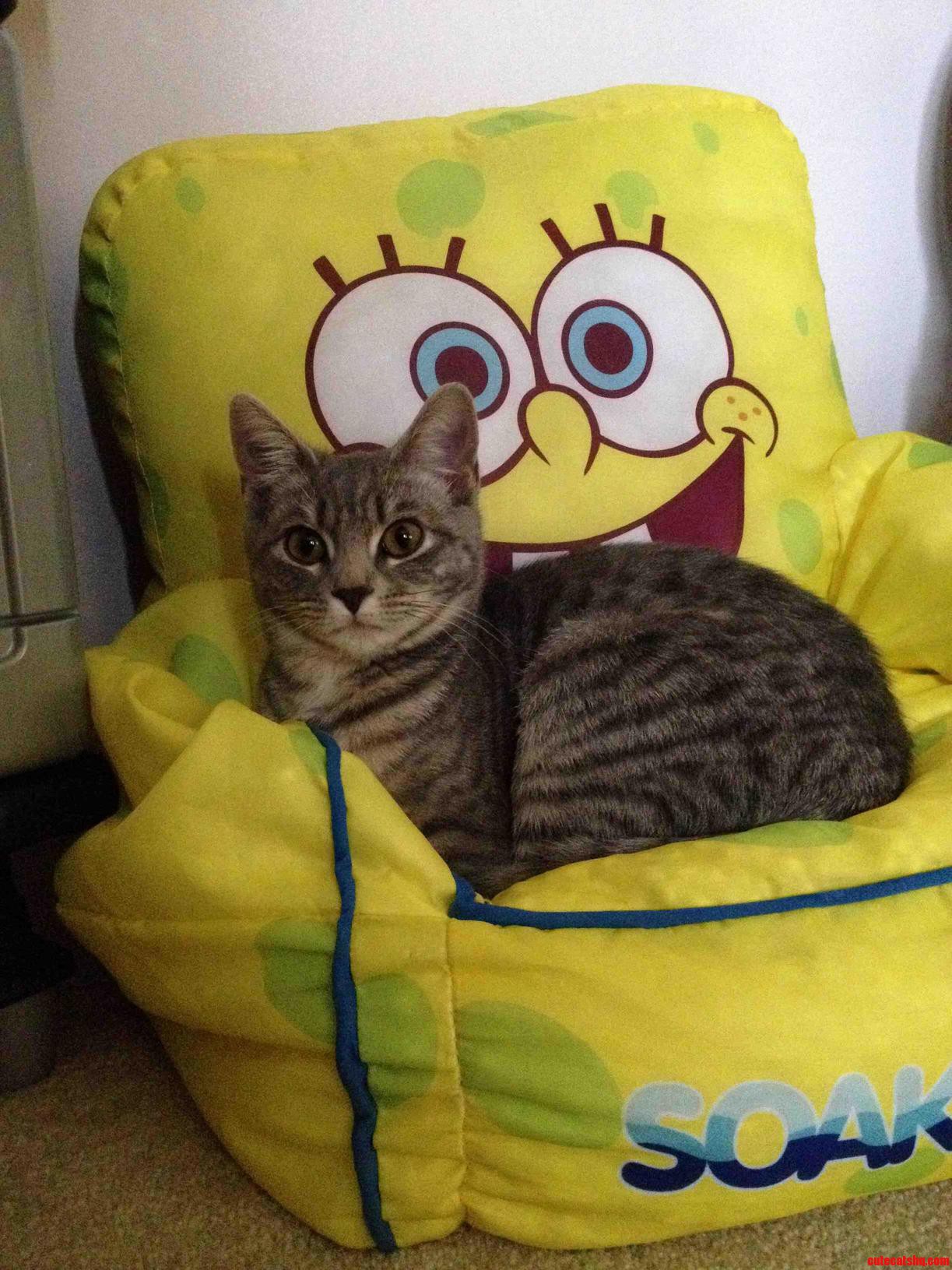 Her Favorite Place to Hang Out.