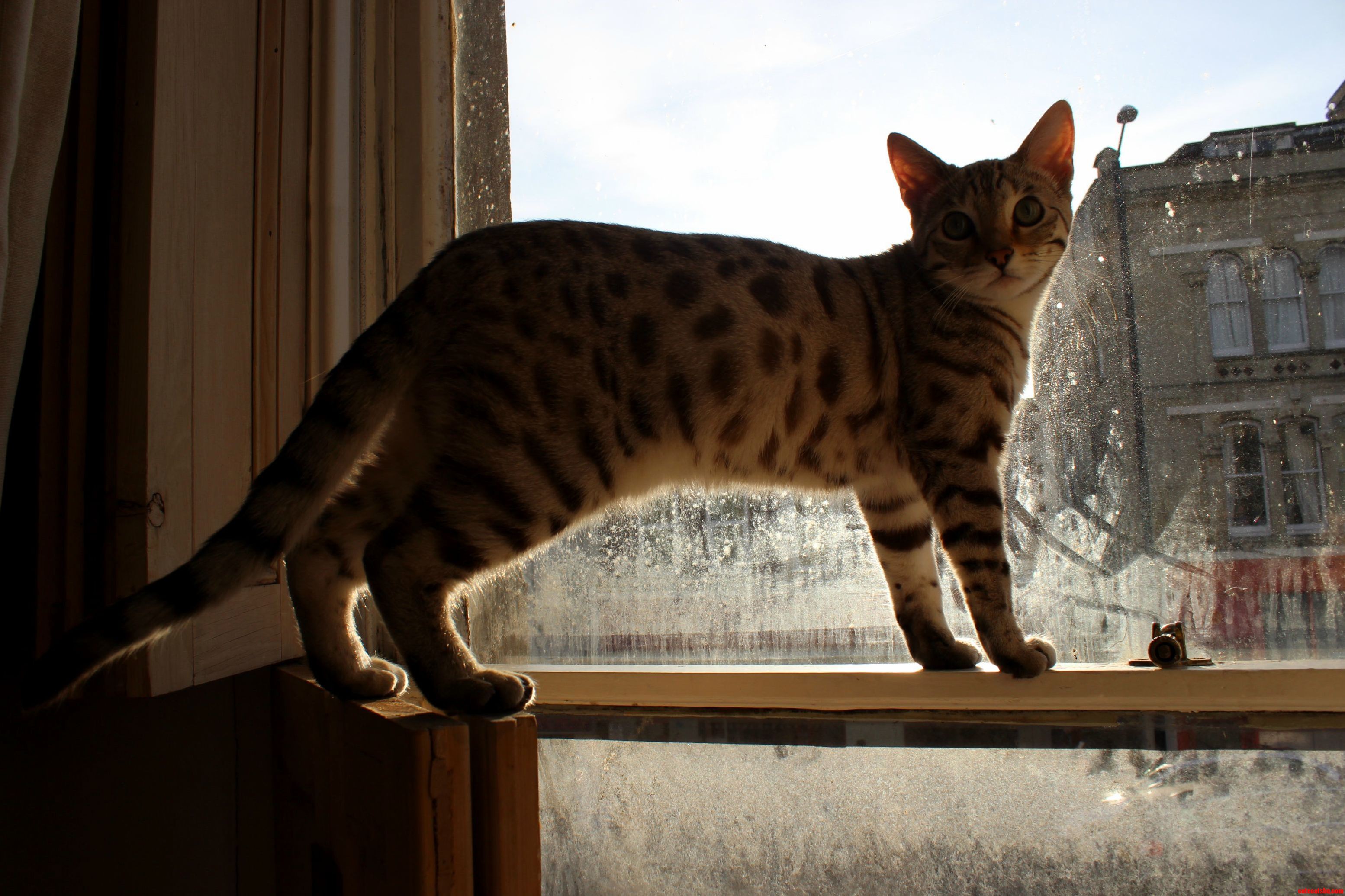 Her Favourite Place to Climb.