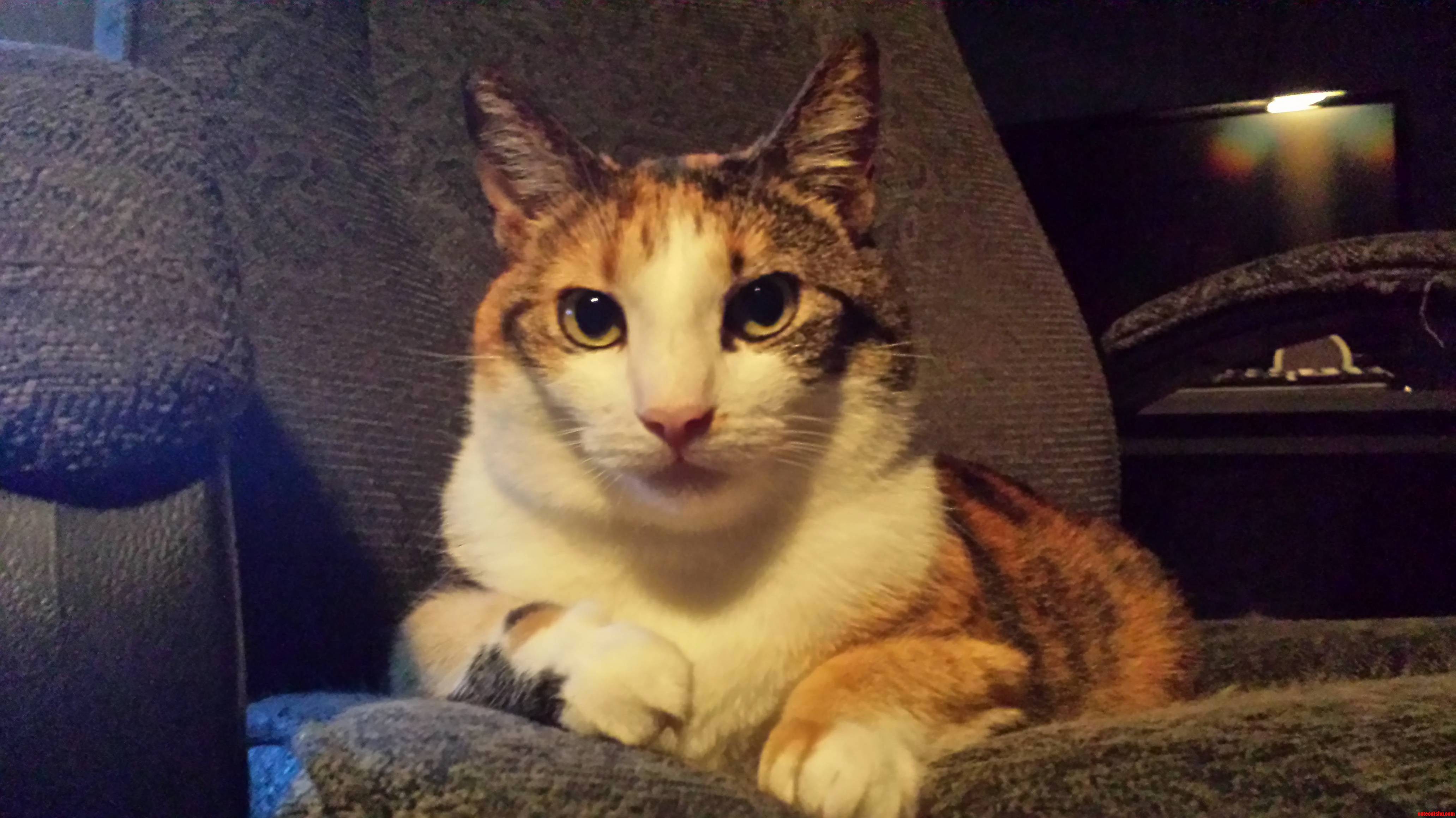 Her Majesty