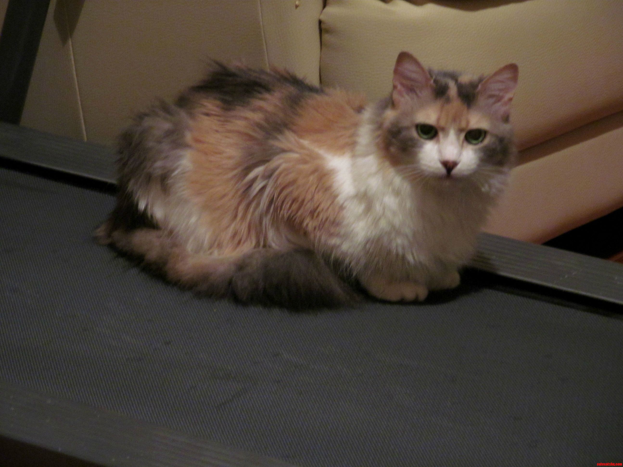 Heres Lucky 15 Years Old and Still Strong and Lively As She Has Ever Been.