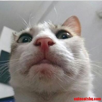 Hes Not Exactly Photogenic..