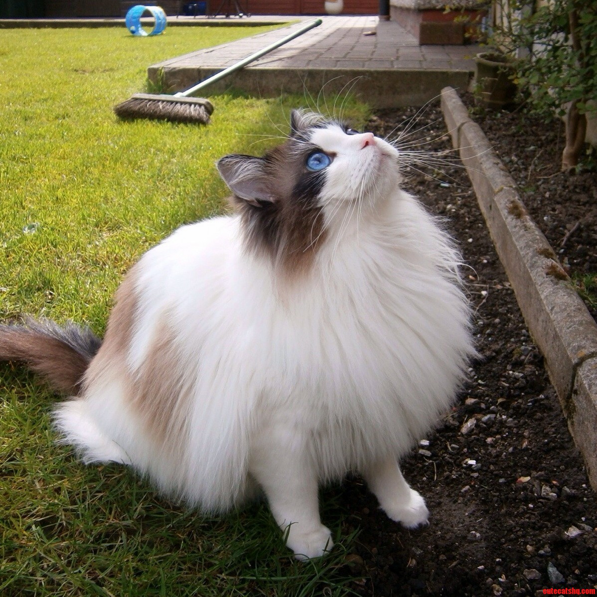 Hes Seen Something