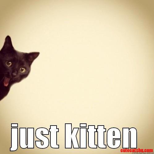 Hey Wanna Hear a Cat Joke