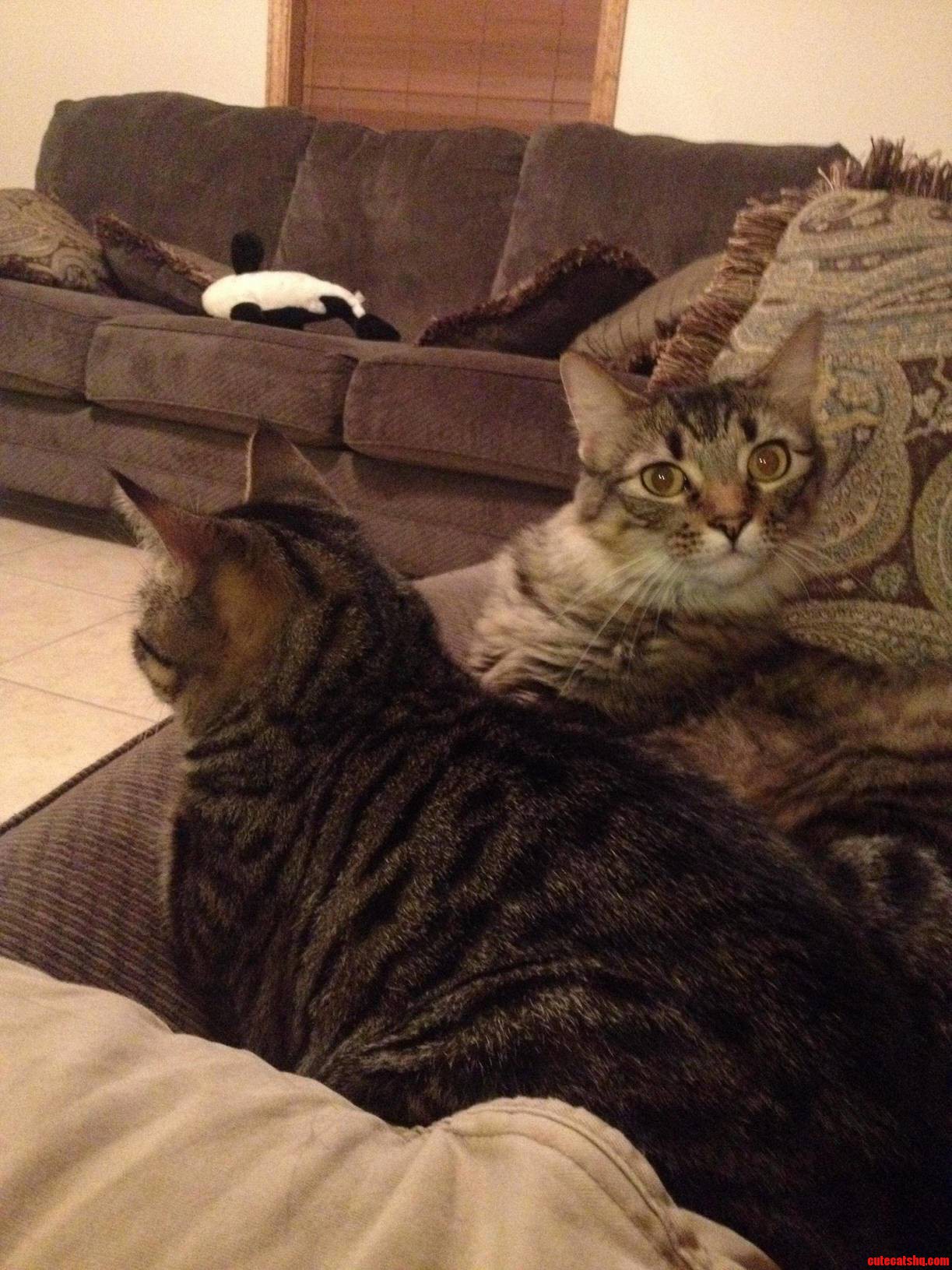 Hey...whatcha Doin