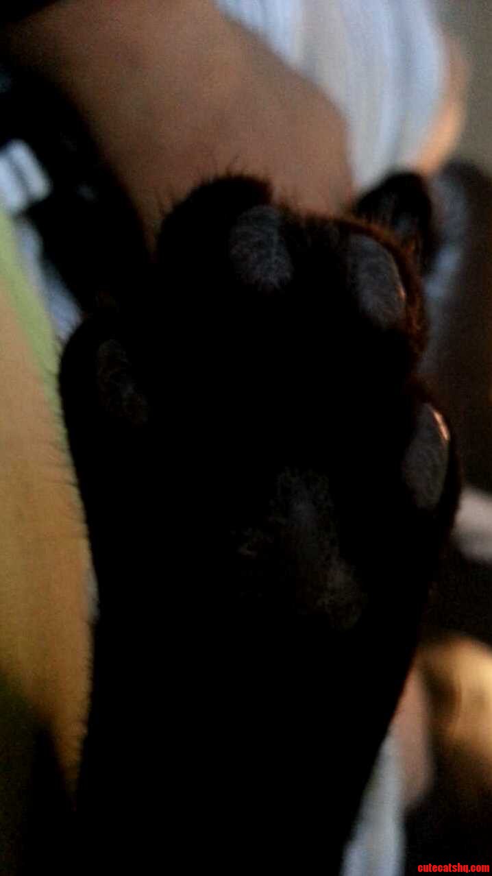 Hi Five