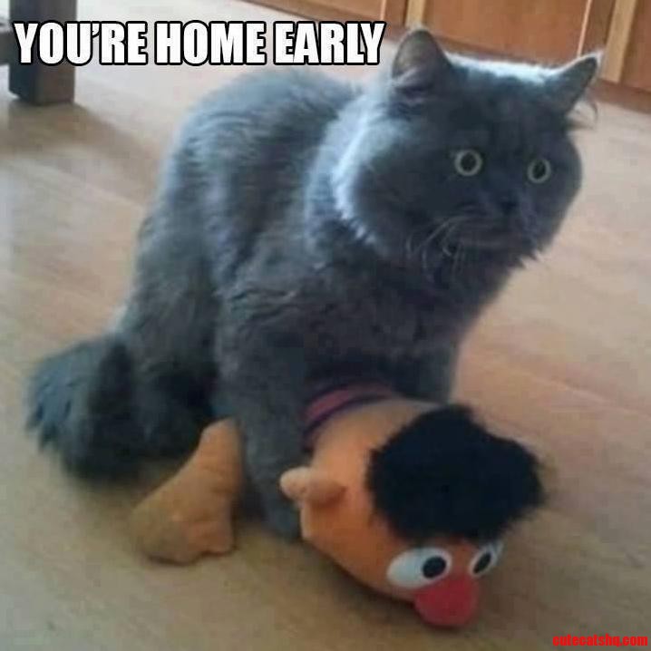 Hooman Leaves Work Early.
