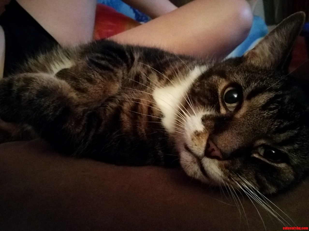 Hopeful Zeus