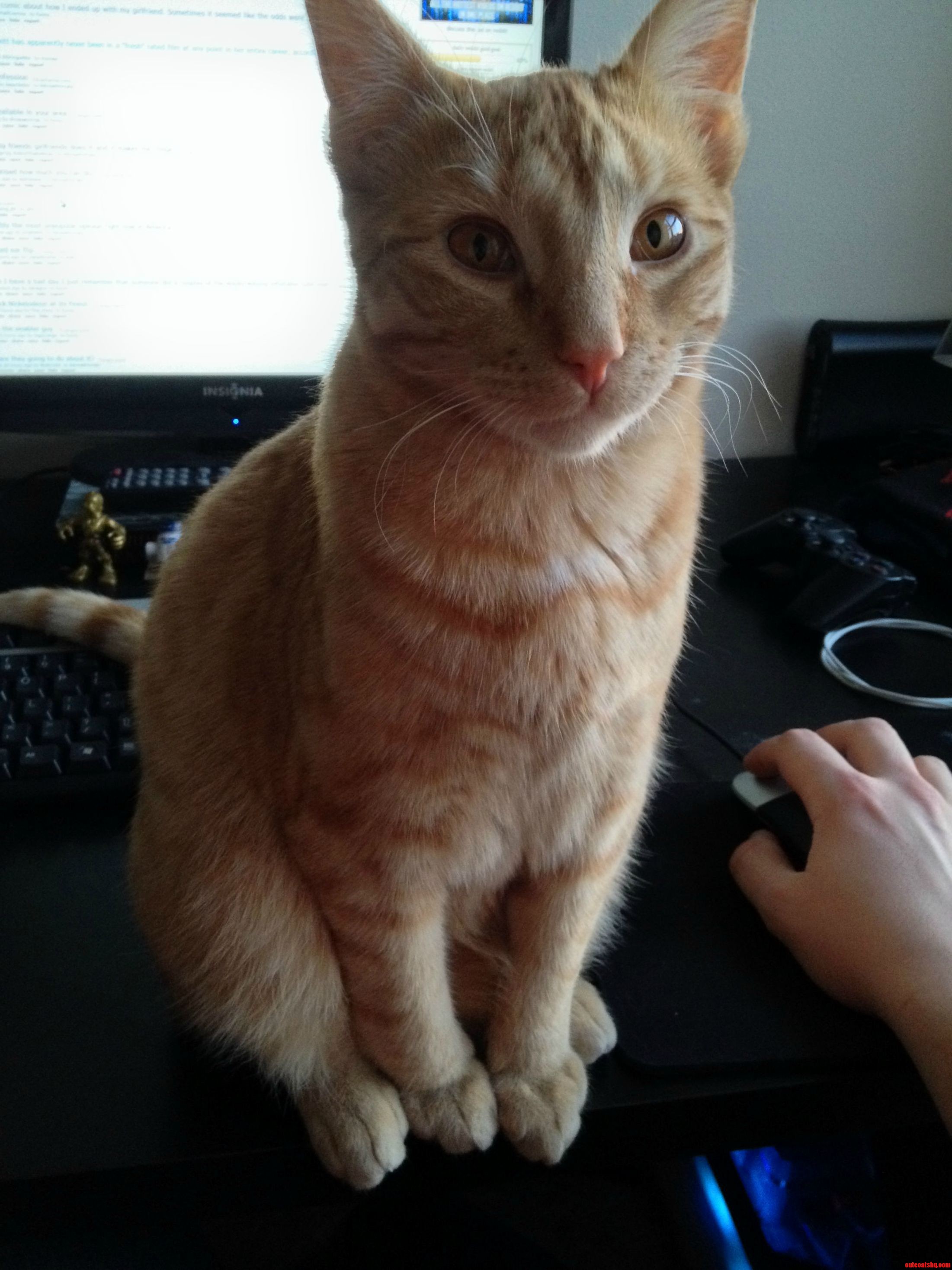 How I Know Made Me Miss Dinner Time by 10 Minutes Again.