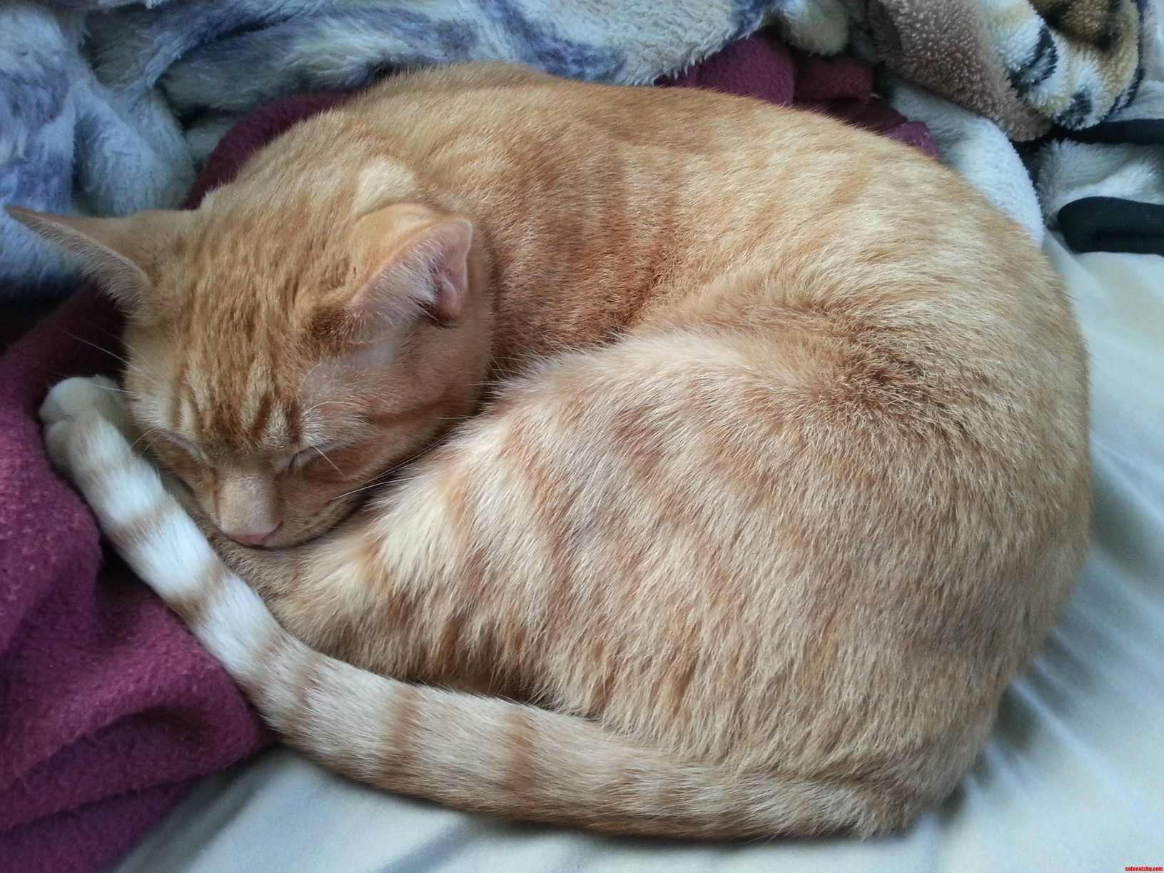 How Is He So Cute