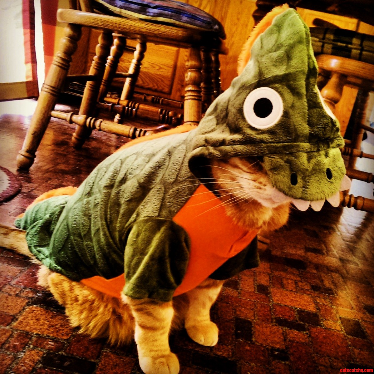 Hunny Bear Goes Prehistoric
