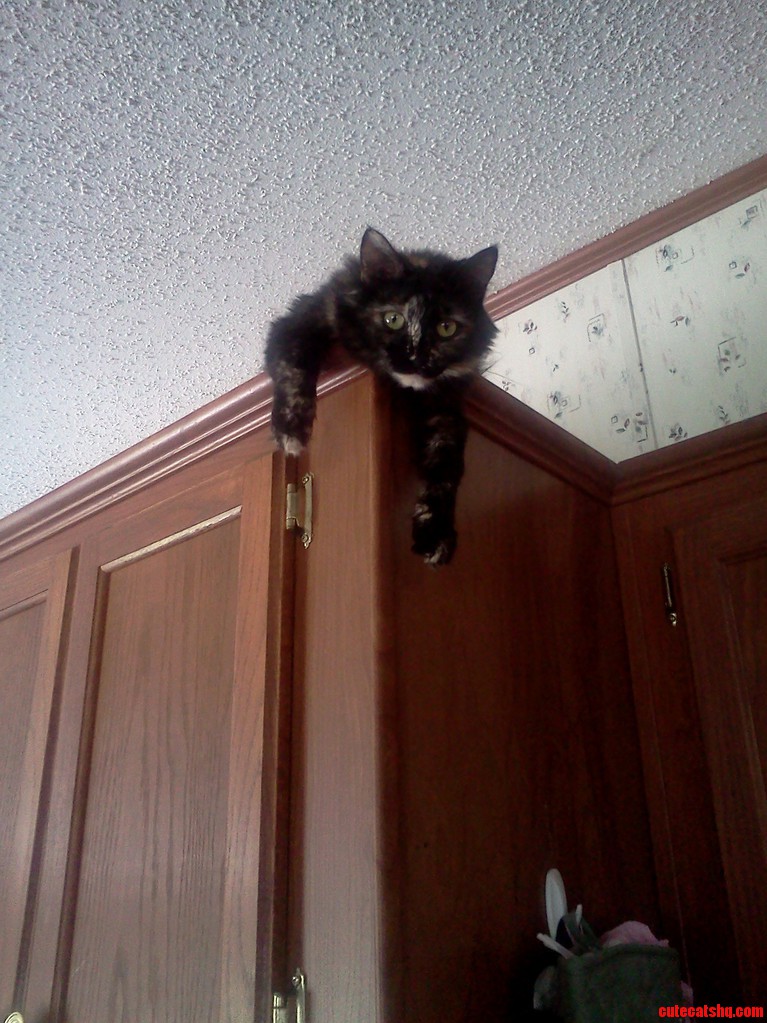 I Always Feel Like....somebodys Watching Me.... She Does This All the Time Its Mildly Creepy
